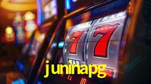 Login Seguro juninapg
